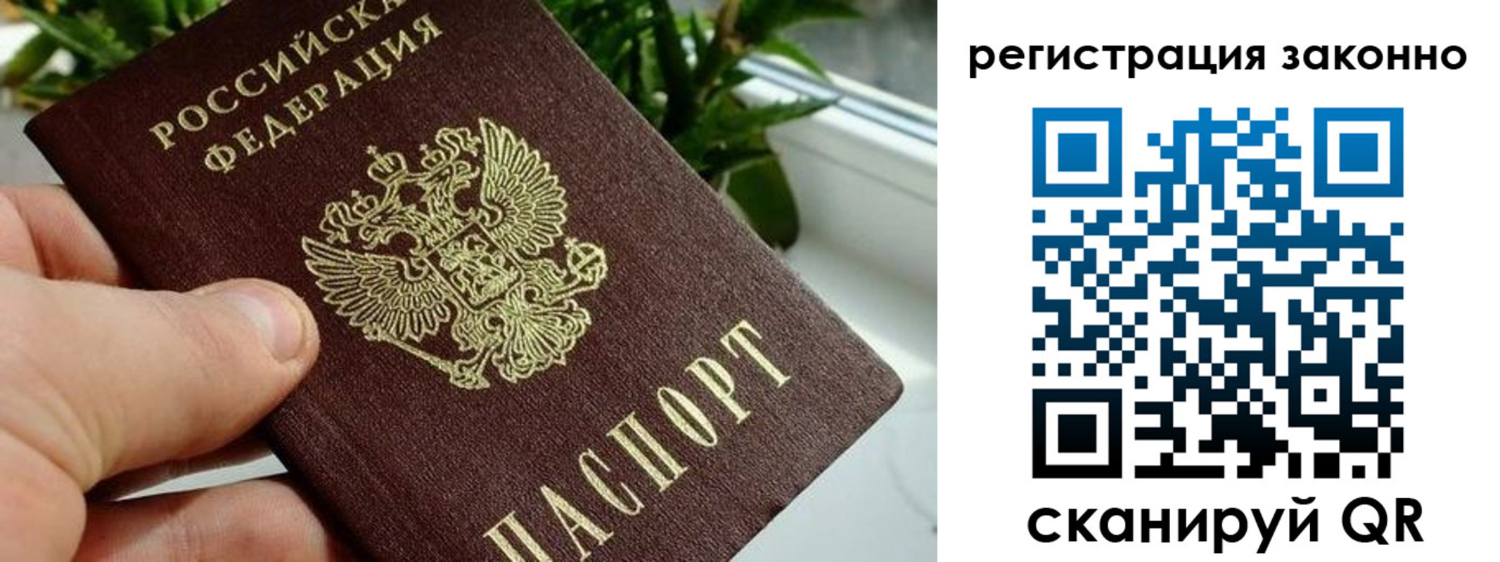 прописка гарантия в Россоши